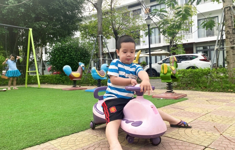 CHÀO HÈ CÙNG CƯ DÂN NHÍ DAHLIA - ECOGARDEN